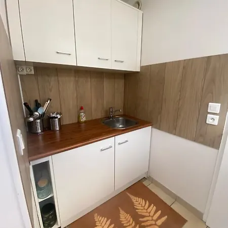 דירה Cozy 2 Steps From Geneva *